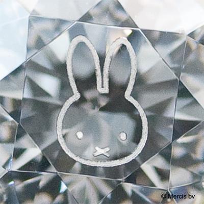 ミッフィーカットフェイスピアス